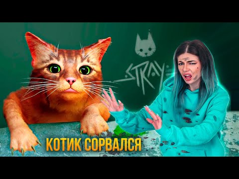 Видео: СПАСАЮ КИСКУ - КОТИК СОРВАЛСЯ ➲ STRAY #1
