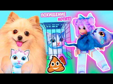 Видео: ПОХИЩЕНИЕ КОТЯТ В РОБЛОКС ! СОБРАЛА ЦЕЛЫЙ ДОМ ПИТОМЦЕВ ROBLOX