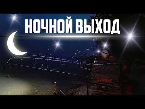 Видео: ЛОВЛЯ ФИДЕРОМ НА ДОНУ. ПЕРВАЯ ЖАРА. НОЧНОЙ ВЫХОД РЫБЫ.