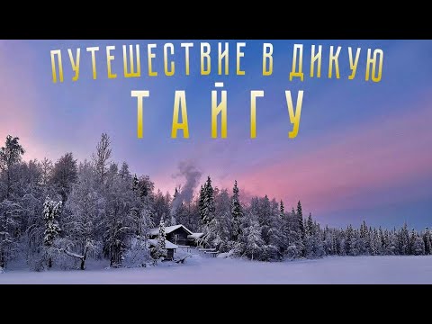 Видео: АРХАНГЕЛЬСКАЯ ТАЙГА/ ЗИМОВЬЕ/ РЫБАЛКА /БЫТ  Часть 2