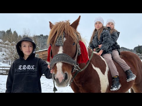 Видео: 🔥Два красені на продаж🔥0984396200 Марʼян