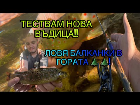 Видео: Ходих за пъстърви в планината.Успях ли да хвана??