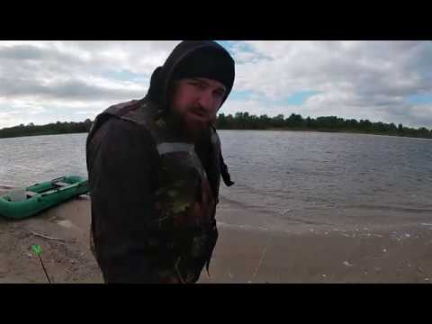 Видео: Донская селедка   май 2020