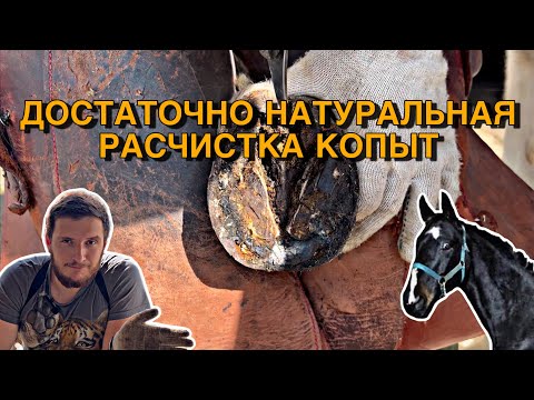 Видео: Школы натуральной расчистки. Условия эффективности. Основные принципы.