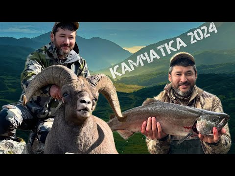 Видео: Трофейная охота и рыбалка на Камчатке. Август 2024/Snow sheep hunting and fishing in Kamchatka.