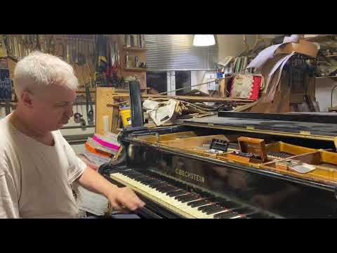 Видео: Бехштейн, Рычков , Мерзляковка, я и музыка.