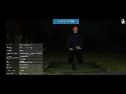 Видео: 3 ноября 2025 г.