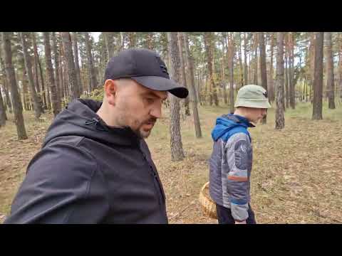 Видео: сегодня набрали больше чем всегда)