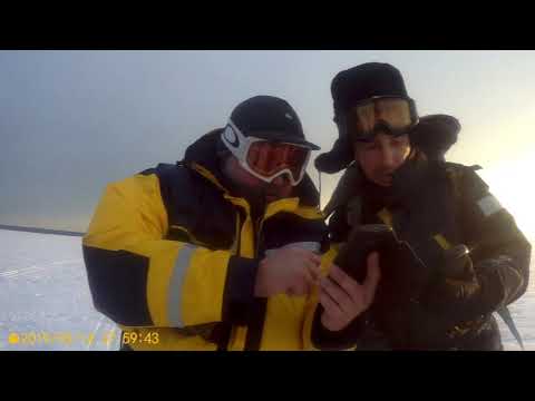 Видео: К Толбухину от Шелеста . 14.03.19