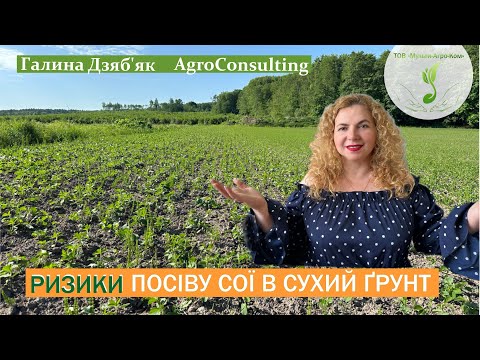 Видео: Аномально сухий травень, провокаційна волога, втрати від шкідників і хвороб