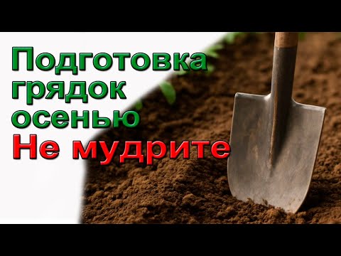 Видео: Не мудрите с подготовкой грядок осенью.
