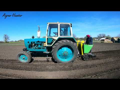 Видео: ЮМЗ-6 Садимо картоплю картоплескажалкою Bomet | Agrar Hunter