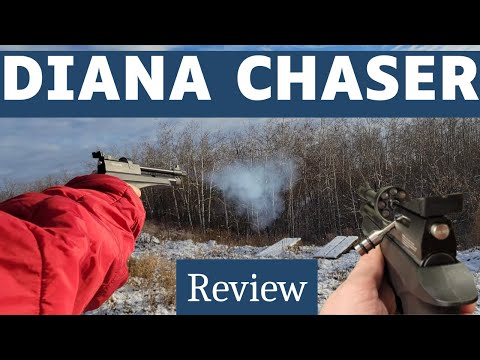 Видео: Обзор Дианы Чейзер