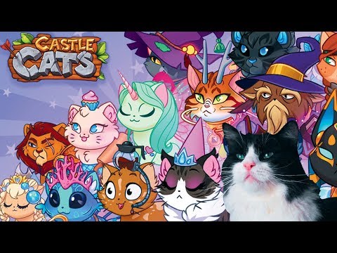 Видео: ПЕРВЫЙ ВЗГЛЯД НА CASTLE CATS | ЦЕЛАЯ АРМИЯ КОТИКОВ!