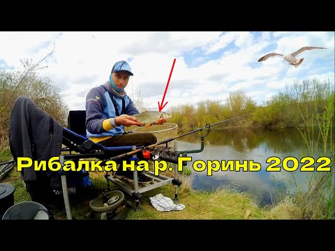 Видео: Фідерна рибалка на р. Горинь весною 2022.  Частина 1 (Густера та головні)