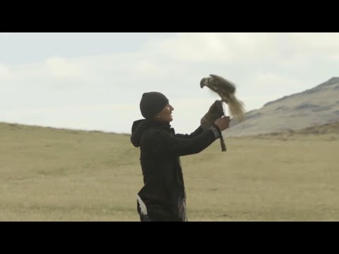 Видео: ШҚО-да «Шығыс Салбурыны» фестивалі өтіп жатыр