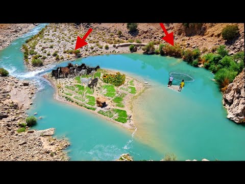 Видео: Кочевая жизнь на острове 🌿 Рыбалка, выпечка местного хлеба и разведение коз в самом сердце природы.