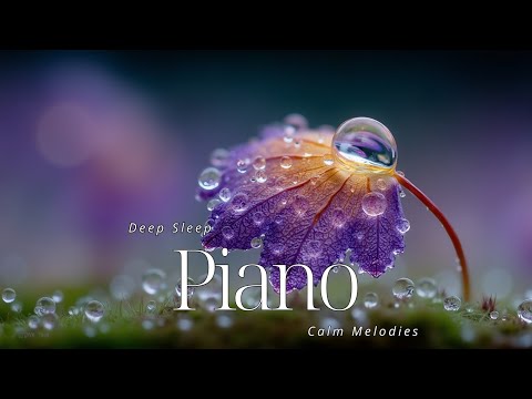 Видео: Спокойные Мелодии и Снятие Стресса