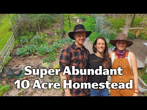 Видео: Вдохновляющая семейная усадьба в Виктории, Австралия.