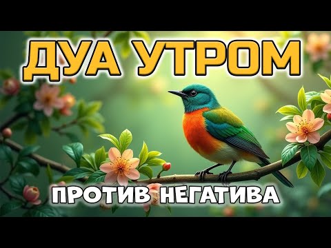 Видео: МОЩНОЕ УТРЕННЕЕ ДУА ОТ НЕГАТИВА И СГЛАЗА! 🤲✨