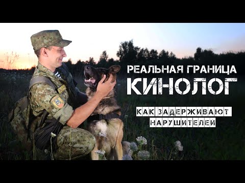 Видео: Реальная граница.Кинолог.