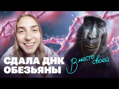 Видео: Что будет, если сдать на ДНК-тест слюну обезьяны?