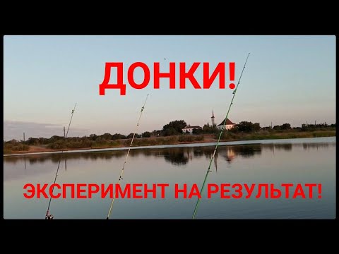 Видео: Рыбалка. Кони на донки! #донки #казахстан #караганда