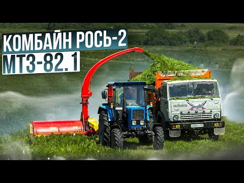 Видео: Как фермер заготавливает корма? Трактор МТЗ-82.1 работает с кормоуборочным комбайном РОСЬ-2!