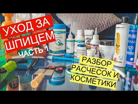 Видео: Уход за шпицем. Разбор шампуней, косметики, расчесок