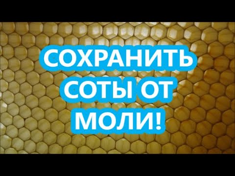 Видео: Сохраняем суш от личинок моли и дезинфицируем соты - дерево рамок.
