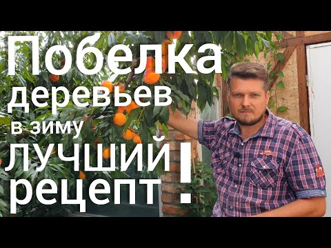 Видео: Побелка деревьев осенью. Старинный проверенный рецепт