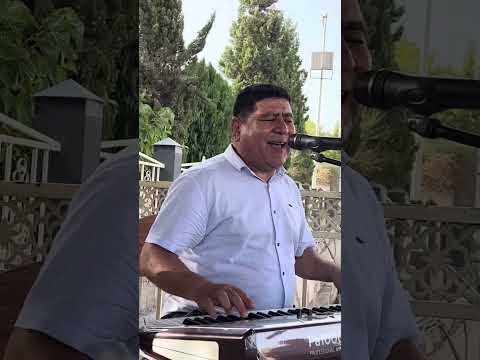 Видео: Сатор Хинди 2023