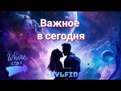 Видео: 👁️‍🗨️ О чем нужно знать в сейчас?🔮 Таро для мужчин с Сильфидой 🧚‍♀️