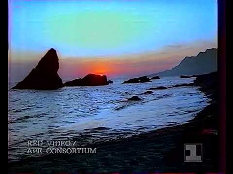 Видео: Реклама (1 канал Останкино, 1993)