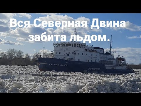 Видео: Ледоход,Архангельск большой затор льда На Северной Двине.Работа ледокола.