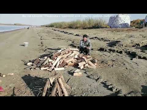 Видео: Рыбалка с ночевкой осенью на донки  Речка Обь г. Барнаул