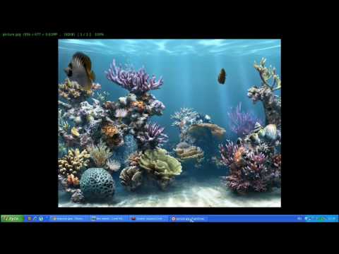 Видео: Инструменты и материалы для создания 3D изображения. Программа и фотобанки.