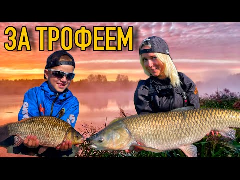 Видео: ПОЙМАТЬ ТРОФЕЙ! ЛОВИМ карпа, белого Амура и карася всей семьей.