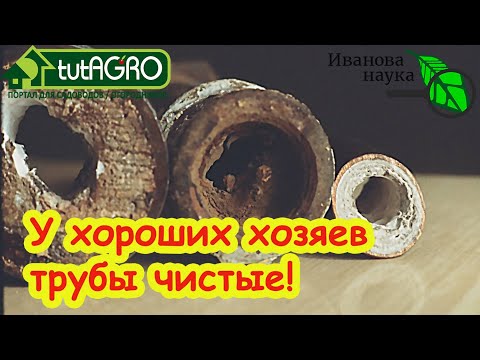 Видео: ХОРОШИЕ ХОЗЯЙКИ ИСПОЛЬЗУЮТ ЭТОТ СПОСОБ и никаких забитых труб и насекомых в ванне и кухне!