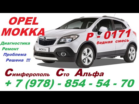 Видео: Ошибка P 0171 Opel Mokka Проблема Решена ! Дымо-генератор , Компьютерная диагностика , замена насоса