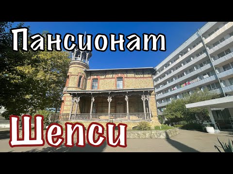 Видео: Пансионат Шепси. Пляж. Дельфины.