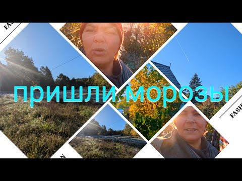 Видео: "Жизнь в деревне" ОСТОРОЖНО листопад .Морозы пришли и к нам.