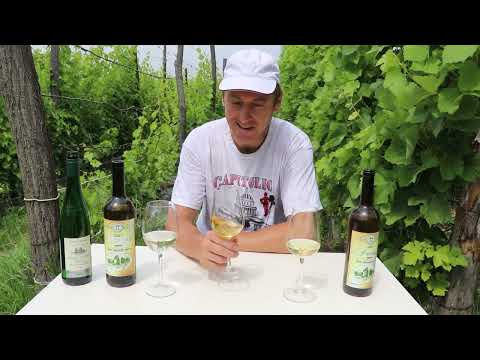 Видео: Рислинг VS Солярис и Гевюрцтраминер