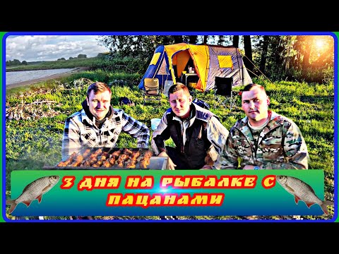 Видео: Рыбалка в Голландии с комфортом  / Отлично отдохнули на день отца👍