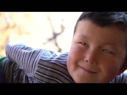 Видео: Давай брат на обед сделаем шашлык