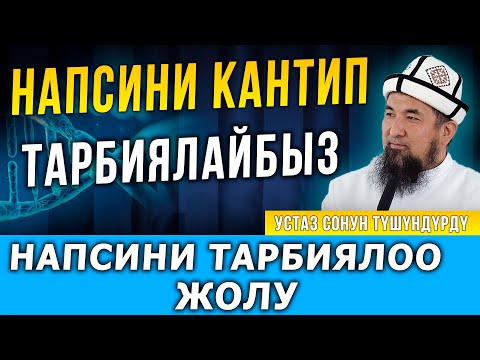 Видео: Нафсини тарбиялоо жолу // Нурулло устаз // Кара-Балта ш.