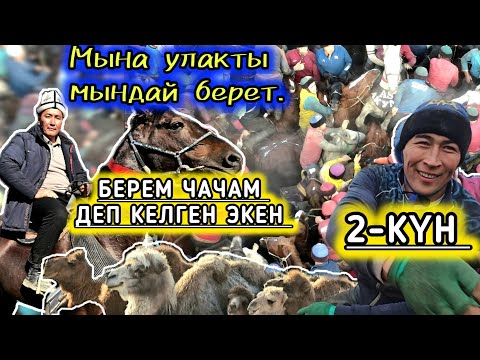 Видео: Ильяс балбандын улагы номер 1 болду 💥 Мындай улакты берген берет.