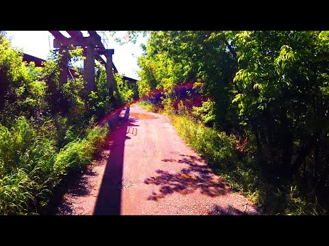 Видео: Таинственная тропа и Океан собачьего лая. Красноярск 2025.