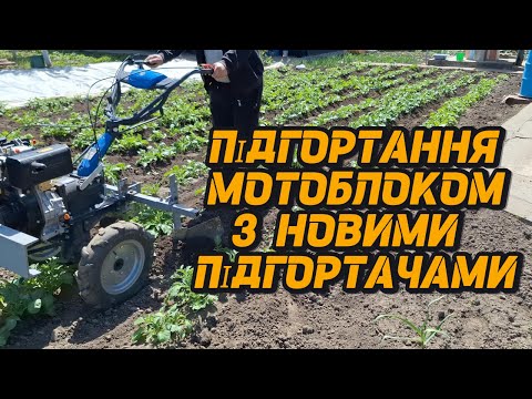 Видео: Підгортання картоплі ДТЗ 560 ДН. Підгортання картоплі в теплиці.