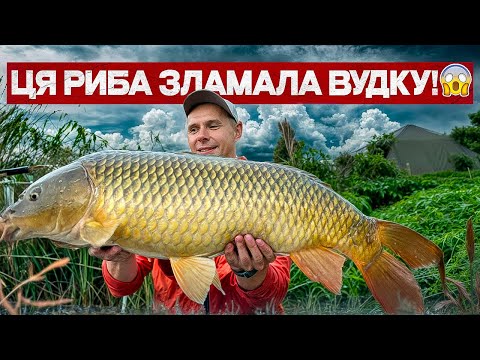 Видео: Осіння ловля коропа на змаганнях